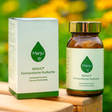 Manju Kapseln mit fermentierten Kurkuma