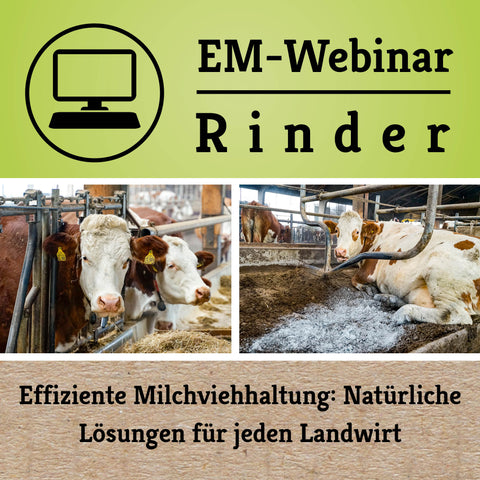 effiziente milchviehhaltung landwirtschaft webinar em chiemgau landwirt rinder