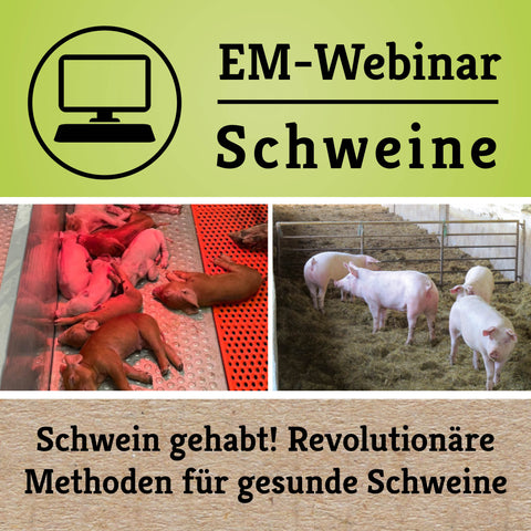 em webinar schweine schweinehaltung methoden für  gesunde schweine em chiemgau webinar