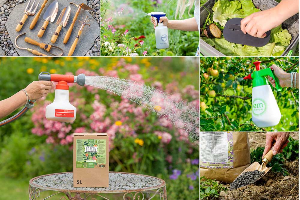 Gartenbedarf/Blumensamen