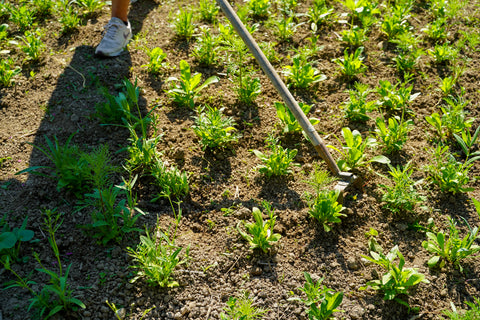 Anzuchtplatte - QuickPot 48er