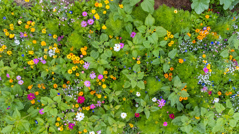 Anzuchtplatte - QuickPot 48er