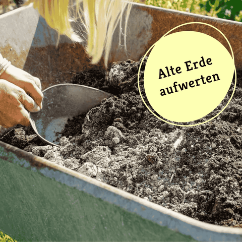 Hochbeet- & Kübel-Set für Saisonstart: Düngen, Mineralien & Boden aktivieren