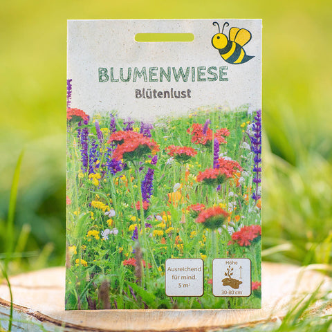 Blumenwiese Blütenlust 5 qm