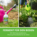 Bodenagil, natives Ferment für den Boden.