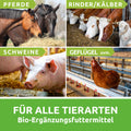 CFKE Kräuterextrakt  eignet sich z.B. für PFerde, Schweine, Rinder/Kälber, Geflügel uvm.