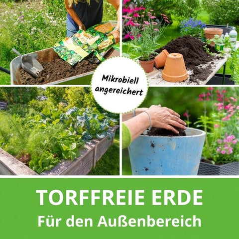 Bio-Schwarzerde mikrobiell angereichert