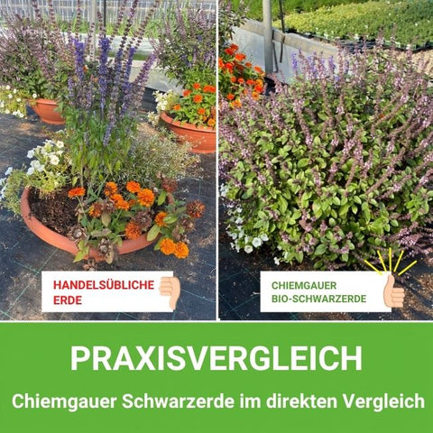 Praxisvergleich Schwarzerde
