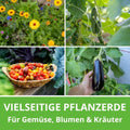 Vielseitige Pflanzerde