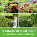 Pflanzenvitalisierung außen Bilder