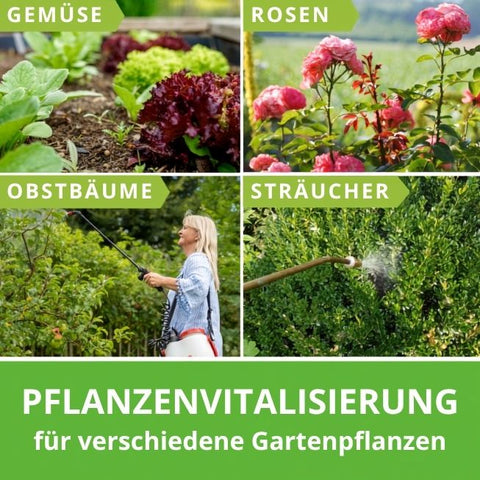 Pflanzenvitalisierung außen Bilder