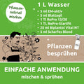 Pflanzencocktail Rezept und Anwendung