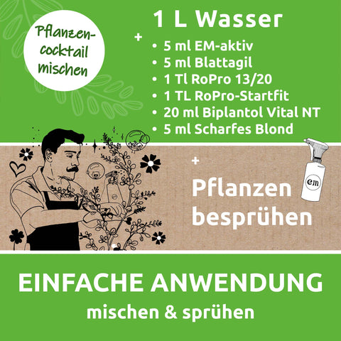 Pflanzencocktail Rezept und Anwendung