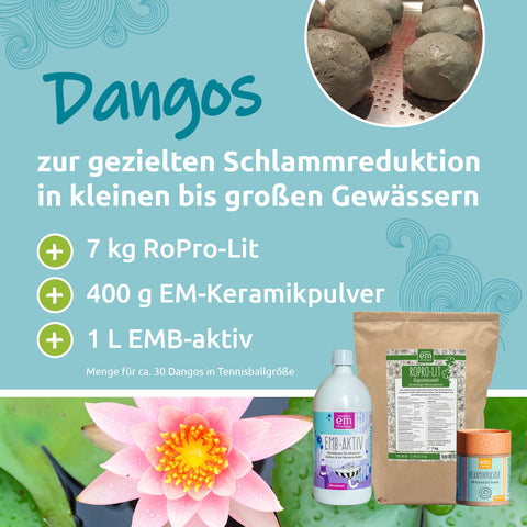 Teich-Dango-Paket