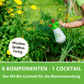 6 Komponenten für die Blattanwendung. 