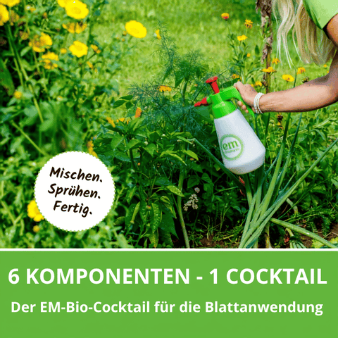 6 Komponenten für die Blattanwendung. 