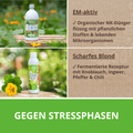 EM-aktiv, der organischer NK-Dünger flüssig. Scharfes Blond, die fermentierte Rezeptur mit scharfen Gewürzen