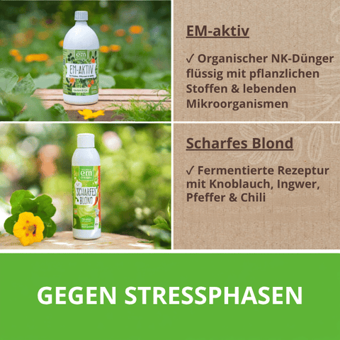 EM-aktiv, der organischer NK-Dünger flüssig. Scharfes Blond, die fermentierte Rezeptur mit scharfen Gewürzen