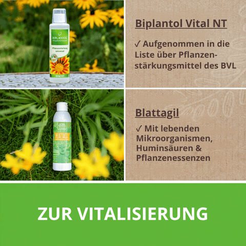 Biplantol Vital ist in die Liste der Pflanzenstärkungsmittel der BVL aufgenommen. Blattagil mit lebenden Mikroorganismen