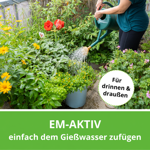 EM-aktiv im Gießwasser.