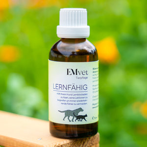 Lernfähigkeit - Tropfen Nr. 7 (für Hunde)