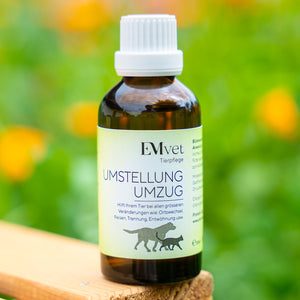 Umstellung / Umzug - Tropfen Nr. 6