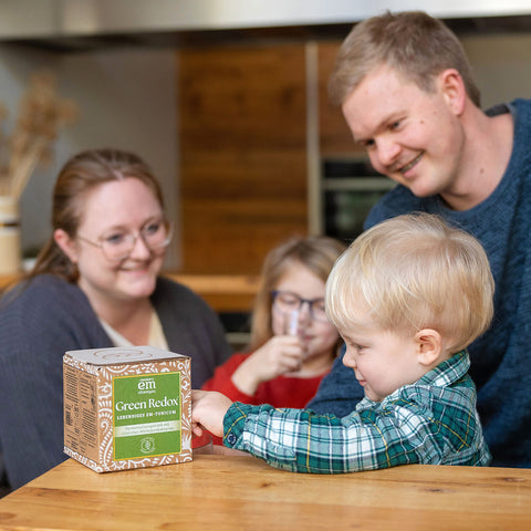 Green Redox Ferment Getränk für die ganze Familie