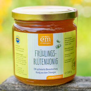 Frühlingsblütenhonig (Herreninsel)