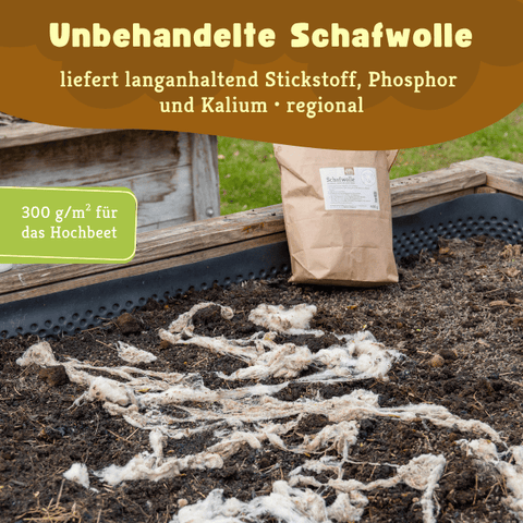 Unbehandelte Schafwolle als Bestandteil des Hochbeet-Sets. 