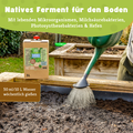 Hochbeet-Set mit nativem Ferment für den Gartenboden. 