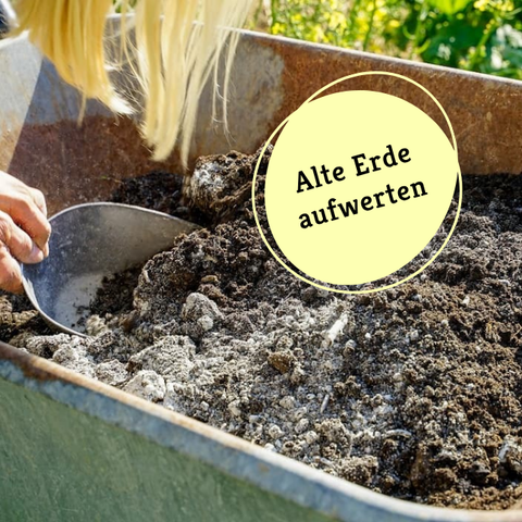 Mit dem Hochbeet-Set alte Erde aufwerten. 
