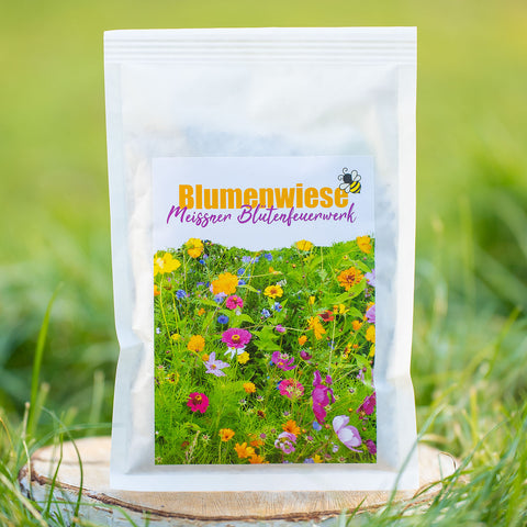 Blumenwiese Meissner Blütenfeuerwerk 25 m²