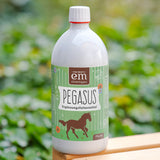 Pegasus Bio-Ergänzungsfuttermittel für Pferde 1 L