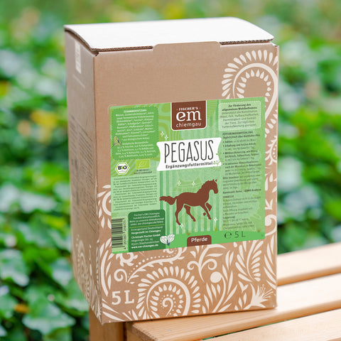 Pegasus Bio-Ergänzungsfuttermittel für Pferde 5 L BiB