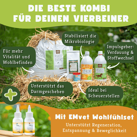 Pferde-Set Frühling - Anweiden & Fellwechsel
