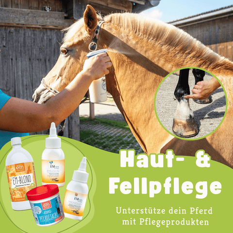 Pferde-Set Frühling - Anweiden & Fellwechsel