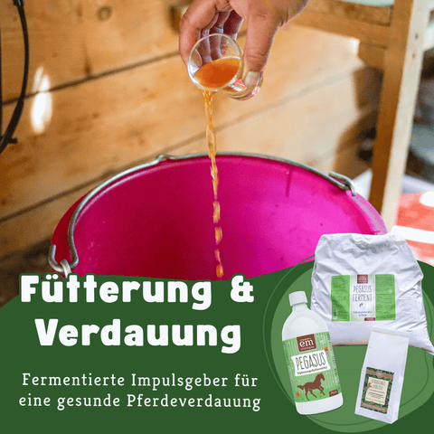 Pferde-Set Frühling - Anweiden & Fellwechsel