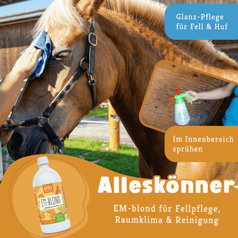 Pferde-Set Frühling - Anweiden & Fellwechsel