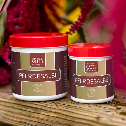 Pferdesalbe in 200 ml und 100 ml