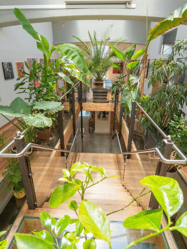 Pflanzen und Kunst im Foyer