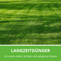 Rasen Rainer Rasendünger für einen vitalen, dichten und sattgrünen Rasen.