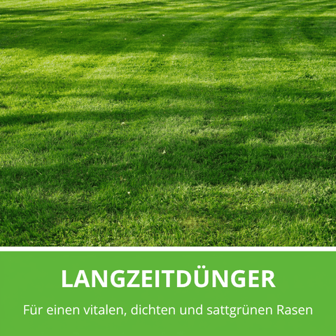 Rasen Rainer Rasendünger für einen vitalen, dichten und sattgrünen Rasen.