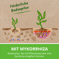 Rasen Rainer Rasendünger mit förderlichen Bodenpilzen.