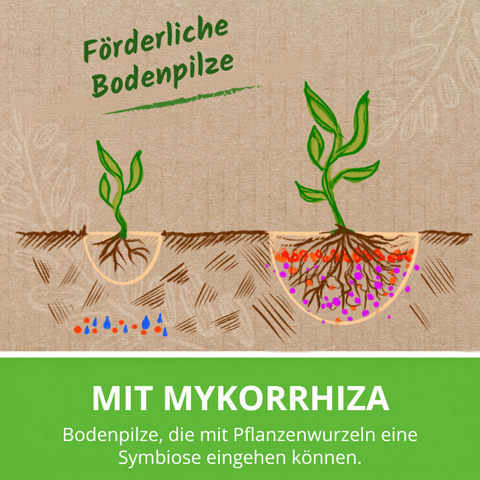 Rasen Rainer Rasendünger mit förderlichen Bodenpilzen.