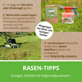 Rasen Rainer Rasendünger, Pflegetipps bei Moos und lückigen Stellen. 
