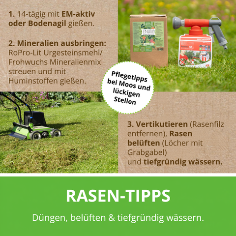 Rasen Rainer Rasendünger, Pflegetipps bei Moos und lückigen Stellen. 