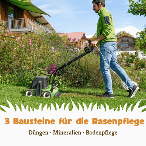 3 Bausteine für die Rasenpflege: Düngen, Mineralien, Bodenpflege