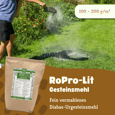 RoPro-Lit Gesteinsmehl. Fein vermahlenes Diabas-Urgesteinsmehl