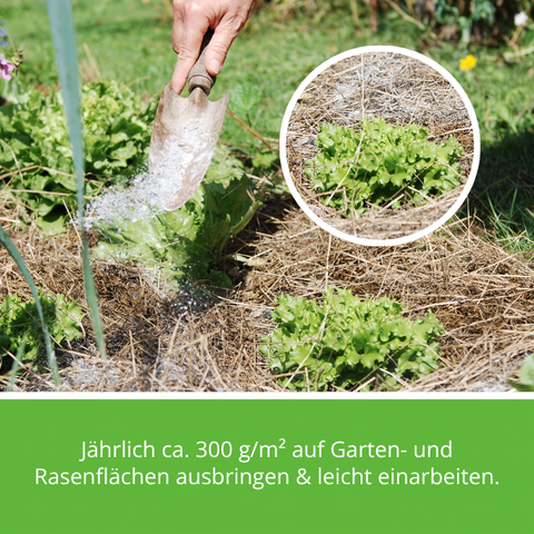 RoPro-Lit jährlicher Dosierungshinweis.