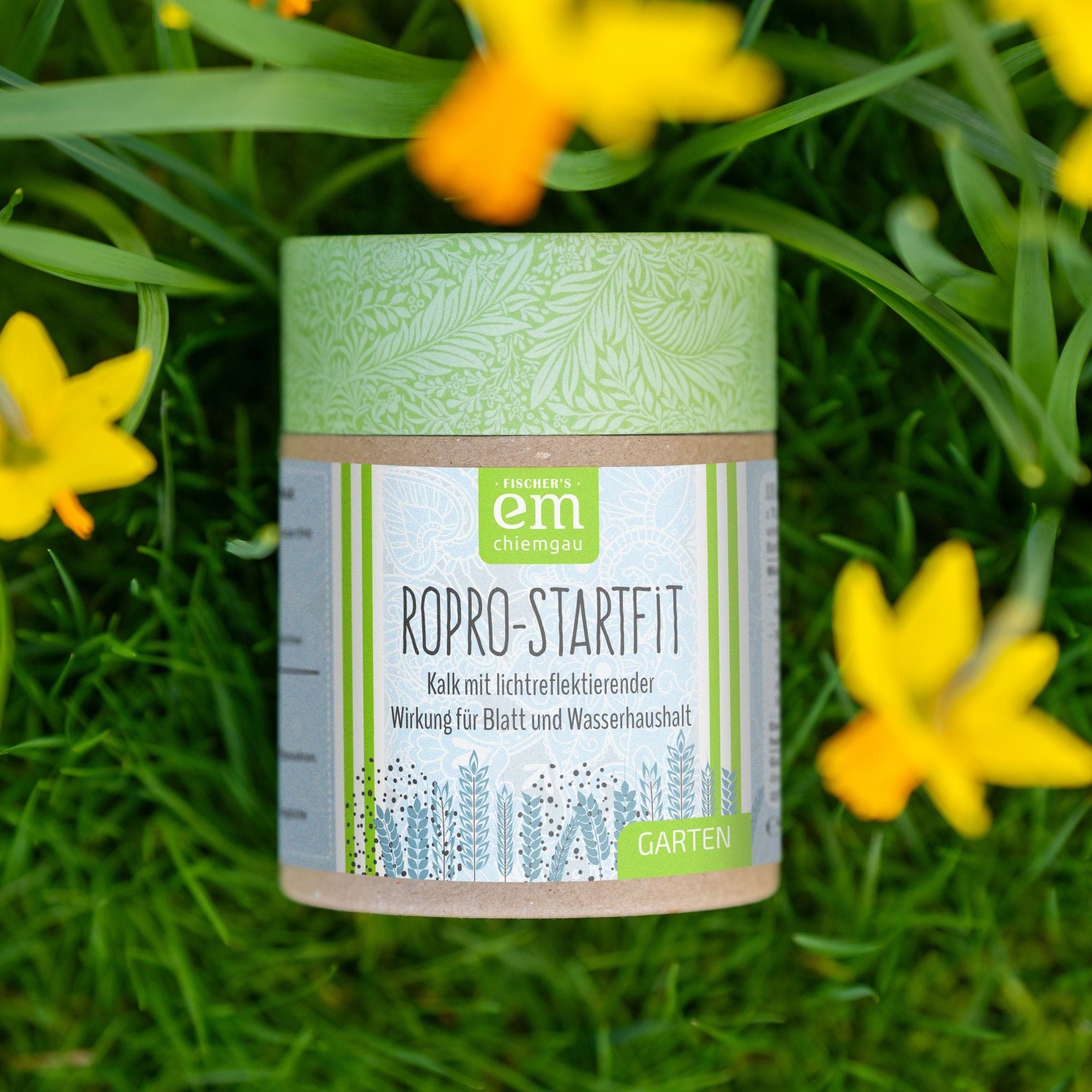 RoPro-Startfit – Spritzkalk, 450 g